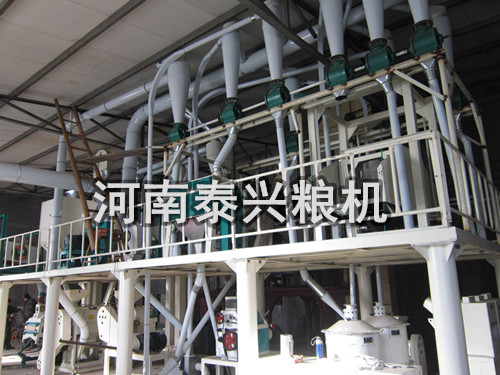 河北50噸級玉米加工設備