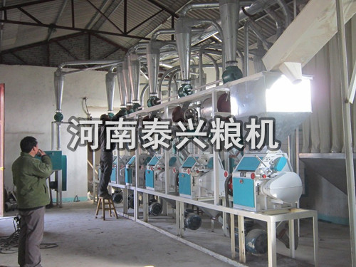 我廠在洛陽安裝的30噸級面粉機設(shè)備